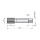 E243PG29NO2 HSS Straight Flute Hand Tap, PG Conduit Thread, DIN Standard