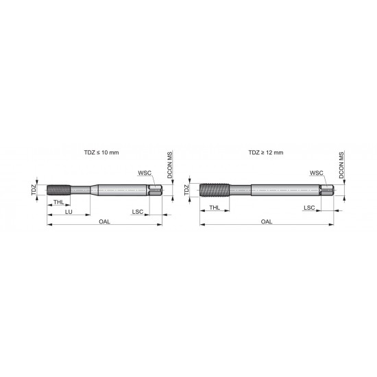 E293M5 M Machine Forming Tap