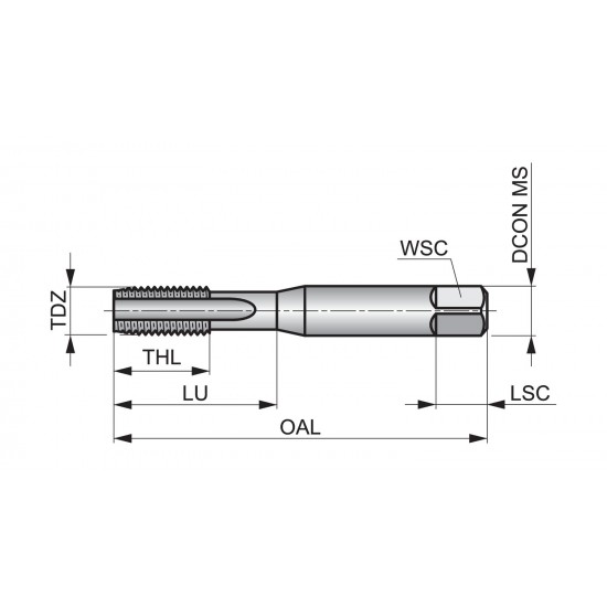 E504M6NO3 HSS Straight Flute Hand Tap with TiN Coating, Metric, ISO Standard