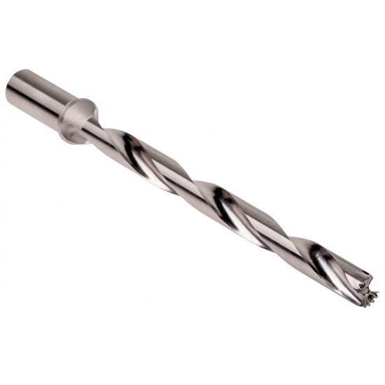 H851218.0 Hydra Body 12 x D