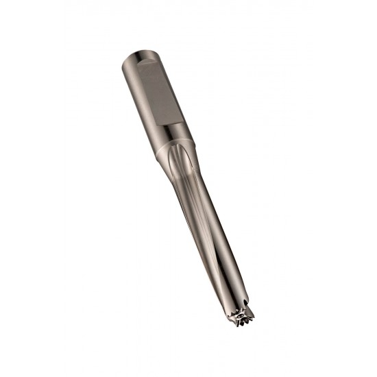 H8551.3/32 Hydra Body 5 x D