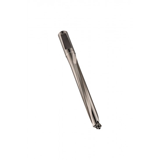 H85817.0 Hydra Body 8 x D